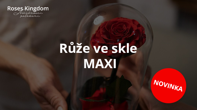 Růže ve skle MAXI